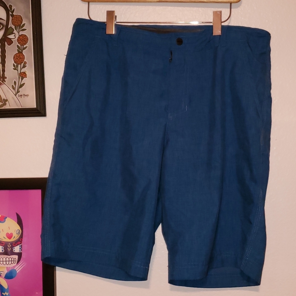 Adidas Terrex blue shorts